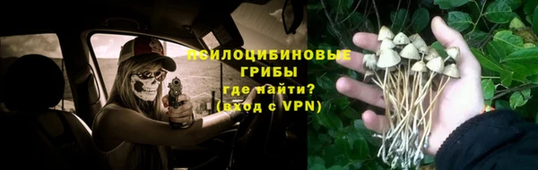 твердый Алексин