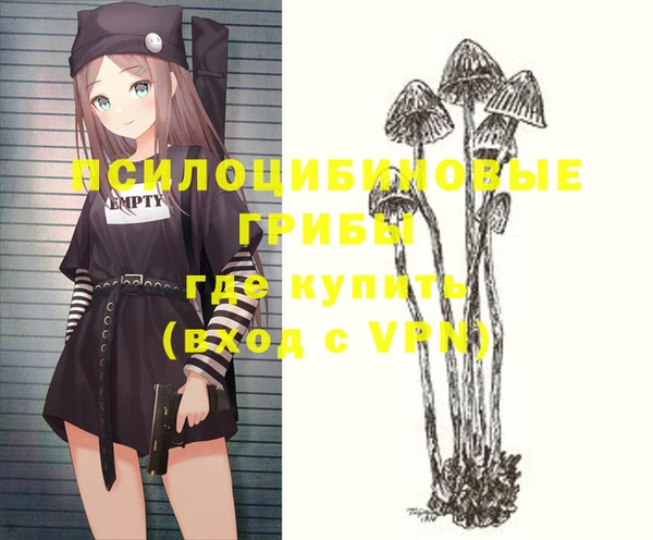 шишки Алексеевка