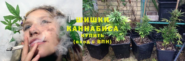 шишки Алексеевка