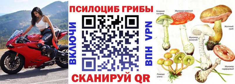 Галлюциногенные грибы мухоморы  Черноголовка 
